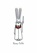 Bunny Potter created by Hoppy Bunnies