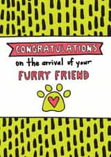Congratulations New Pet Card created by Angela Chick