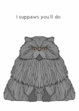 cat funny Valentines Day Card 28450 created by The Card Compony