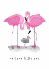 Baby flamingo New Baby Card 1095 created by Kristy le Voy