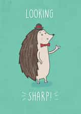 hedgehog pun Congratulations Card 7796 created by Katie Ruby Illustration