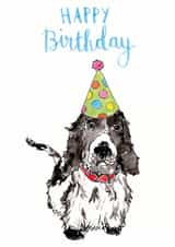 Happy birthday cocker spaniel dog card created by Bramble Designs