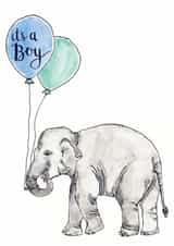 Congratulations new baby it's a boy card created by Bramble Designs