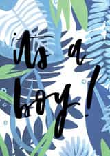 newborn boy New Baby Card 4450 created by Bee Davies