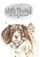 birthday dog Birthday Card 8288 created by Dotty Dog Art