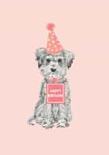 Cute Birthday Card - Dog In A Party Hat - Schnauzer - Pink created by Louise Tiler
