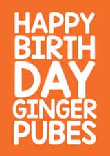 Ginger Pubes Birthday Card 8519 created by Thirty Mussels