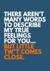 Funny And Rude Card - There Aren't Many Words To Describe My True Feelings For You... But Little Tw*t Comes Close created by Redrakoon