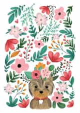 yorkie terrier Just because Card 1186 created by Anna Alekseeva