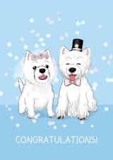 Westie Dog Wedding - cute congratulations card created by Tessa Cheung