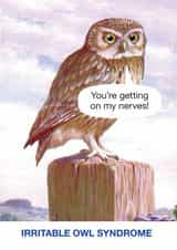 irritable owl Humour Card 9264 created by © Ladybird Books Ltd 2025