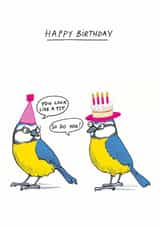 Birthday tits card created by Cardinky