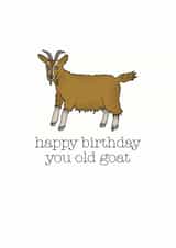 Cheeky Birthday Card - Goat - Happy Birthday You Old Goat created by Becka Griffin