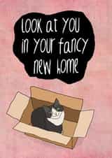 Cute Cat In A Box New Home Card - Cat - Look At You In Your Fancy New Home created by Koro Cinco