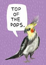 him silly Father's Day Card 29868 created by Little Birds Talk + Paper Hawk