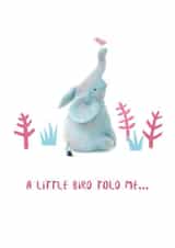 Elephant Congratulations Pregnancy Card 9631 created by Lindsey Thomas