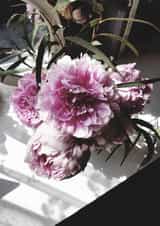 Peonies Birthday Card 22572 created by Adeeba Faheem