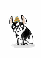 french bulldog Birthday Card 6206 created by Lucy Maggie Designs