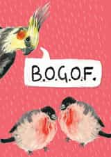 TWINS NEW New Baby Card 7718 created by Little Birds Talk + Paper Hawk