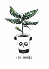 Cute Panda Pot New Home Card - House Plant - New Home created by Harriet Lowther