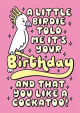 Funny birthday card for someone that loves a cockatoo created by Katie Ruby Illustration