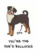 Rude Birthday Card - Dog - You're The Dog's Bollocks created by Peabody Studio