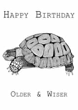 tortoise older Birthday Card 10745 created by Carissa Tanton
