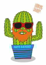 looking sharp Birthday Card 3411 created by Ivorymint cards