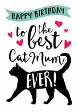 cat best Birthday Card 9879 created by Jon Hall Design