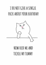 fuck do Birthday Card 10920 created by Flamingo Lingo by Jenny