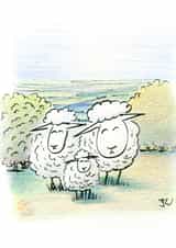Sheep newborn Card 24323 created by Jon Warren
