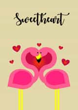 flamingo flamingos Card 33269 created by Jennifer Jahromi