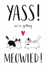 We're getting meowied - Wedding day card created by Miümi Cat