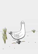 pigeon bird Card 29689 created by Quite Like That