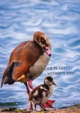 Friendship egyptian goose Card 33459 created by Patricia Naish Pet Photography