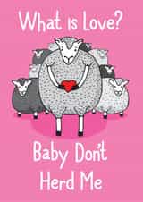 love sheep Love & Friendship Card 33685 created by Pukka Design