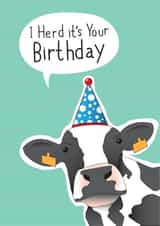 Party cow birthday card created by Pukka Design