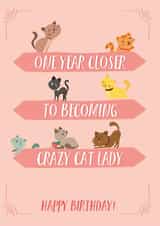 funny cat Birthday Card 33782 created by PAPR Boutique