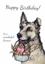 dog pet Birthday Card 1066 created by Anna Stankevich