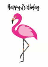 happy flamingo Birthday Card 32948 created by Chameleon and Co