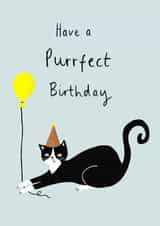Funny Birthday Card – Have A Purrfect Birthday Cat created by Just like Sophie