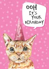 cat Female Birthday Card 8294 created by Dotty Dog Art