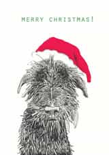 dog christmas Christmas Card 31702 created by Harriet Lowther