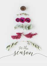 tree tis Christmas Card 8355 created by Love Lila Photography