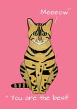 Cute Cat Translation Card created by DainaCrafts