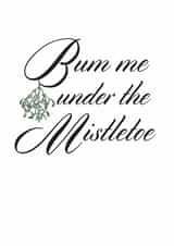 naughty rude Christmas Card 11896 created by Holy Flaps