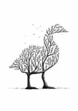 Goose Duck Card 34219 created by Mucky Duck Studio