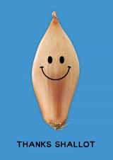 Funny Pun Thank You Card - Shallot - Thanks Shallot created by Jon Hall Design