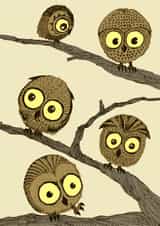 owl owls Card 26125 created by D J R Bennett