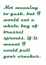 cheeky silly Christmas Card 33171 created by Fi Police